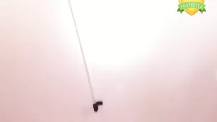 Пикантная цыпочка Cristalbaby эротично позирует и занимается дрочкой