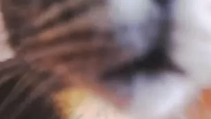 Соблазнительная телка Nicoleevans26 долбится секс игрушкой