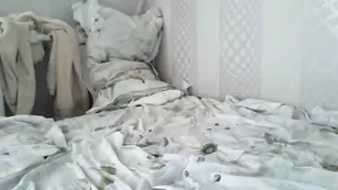 Симпатичная куколка Aliceincrazyland трахает бритую пизду