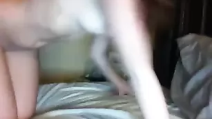 Строптивая курва Kashmirkitty нежно дрочит пизду