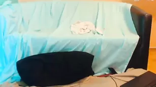 Сексуальная блондинка Kimberhot ласкает бритую киску