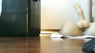 Шикарная брюнетка Kylaa скачет на резиновом члене