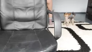 Шальная путана Hondagirl эротично позирует голенькая