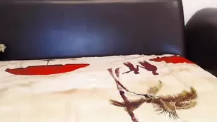 Очаровательная азиатка Hidorixsebastian633 снимает трусики