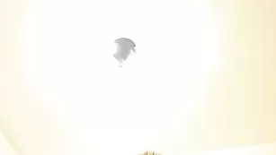 Пышная стерва Candie жестко трахает анал