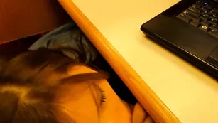 Похотливая девушка Sunstarsmoon делает минет кавалеру