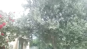 Восхитительная девушка Gagadoudou общается во фри чате