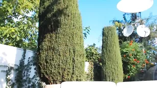 Худая кобыла Lexxxiwet  шалит на свежем воздухе