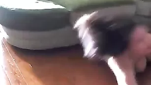 blondicat понежилась перед веб-камерой