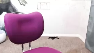 Блондинка Harli_lotts трахает себя на стуле резиновым членом