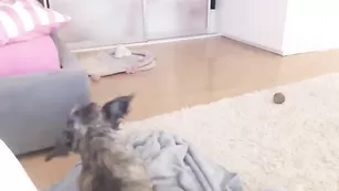 Светловолосая курва Kokette22 ласкает большие сиськи