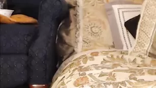 Шикарная чертовка Missmina ласково трогает интимные места