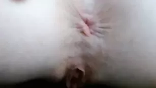 Строптивая пассия Hornyhippies показывает бритые дырки