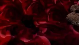 millalady шикарная телка со стройным телом