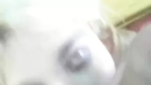 Пылкая дама Baiuk отсасывает пенис