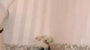 Классная сучка Alinn1