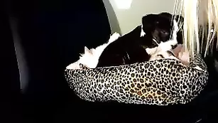 adorablebrooke глубокая нежная пилотка