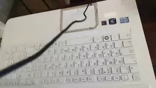 Развратная бикса missslady обалденно долбит себя в щелки игрушкой