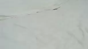 bermiaxxx сочная попка и висячие сиськи