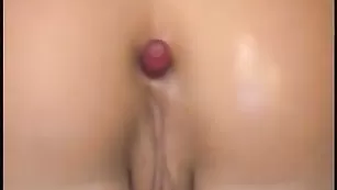 1to1HornyCandy попка держит игрушку