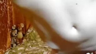 V_I_K_A быстро и дерзко ублажает зудящую вагину