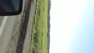 Шлюха сосет в машине