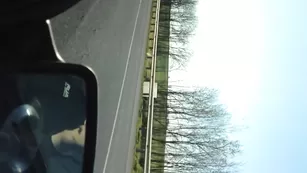 Шлюха сосет в машине