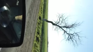 Шлюха сосет в машине