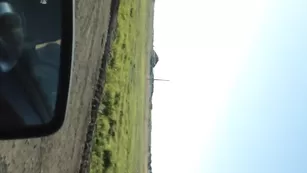 Шлюха сосет в машине