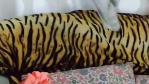 SweetLindaBB жаркая приватная мастурбация крупным планом