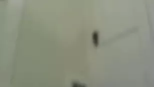 Зачетная барышня Adrey прокатилась на мощном страпоне