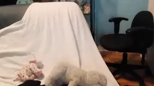 Lana_rain стонет от вибратора