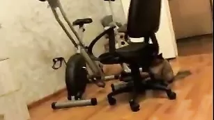 Привлекательная барышня kaprisya отлично справилась с мастурбацией обеих отверстий