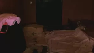 Похотливая студентка Berettatwin демонстрирует пизду