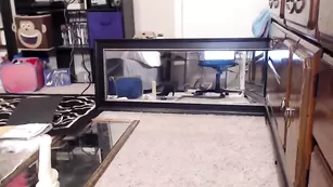 Замечательная курва Goldengoddessxxx скачет на секс игрушке