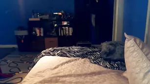 Озорная девка Missoakley позирует голая