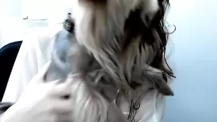 Пикантная сучка Afiyaah общается во фри чате