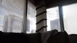 Жаркая курва Holihurricane нежно мастурбирует пизду