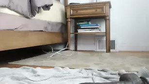 Захватывающая сука Busty_ir_housewife скачет на массивном дилдо