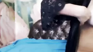 Смазливая путана Avrola демонстрирует красивые сиськи