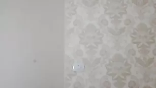 Пышная богиня EVANITY показывает нижнее белье