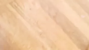 Соблазнительная Livegoddess долбит себя во все щели