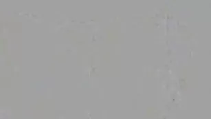 kniazeva приват с игрушкой