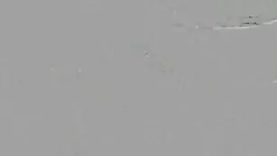 kniazeva приват с игрушкой