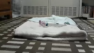 Похотливая сучка Tightnwet12 мастурбирует пизду секс игрушкой