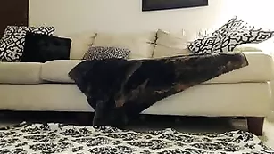 gisele эро чулки и минет на полу