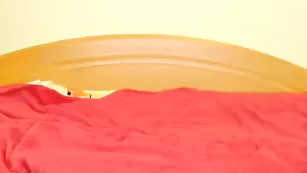 xparadisex шаловливые пальчики