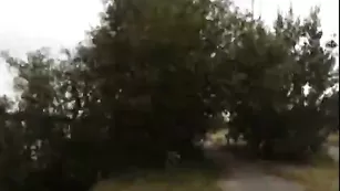 jesydiamond дразнится на природе