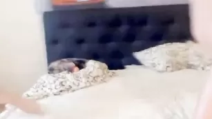Сочные лесби HotGoddess развлекаются в позе 69