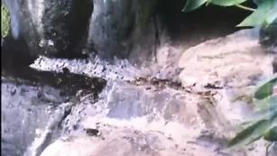 Безупречная телочка Silinda драит себя фаллосом